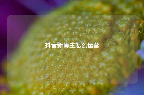 抖音新博主怎么运营