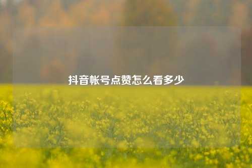 抖音帐号点赞怎么看多少