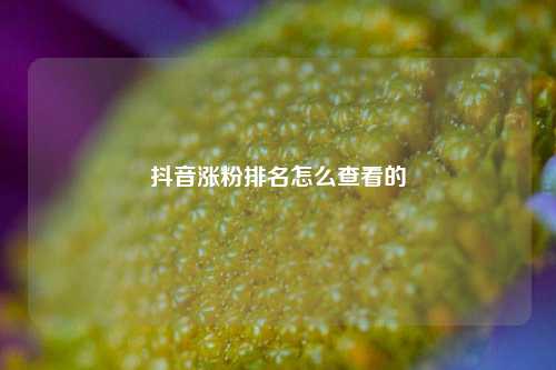 抖音涨粉排名怎么查看的