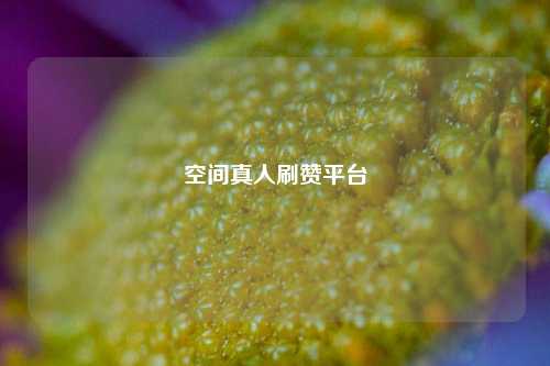 空间真人刷赞平台
