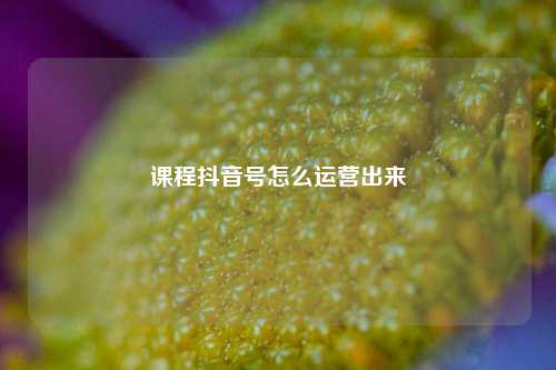 课程抖音号怎么运营出来