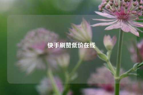 快手刷赞低价在线