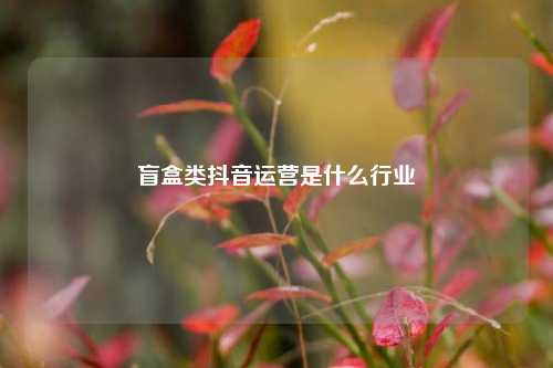 盲盒类抖音运营是什么行业