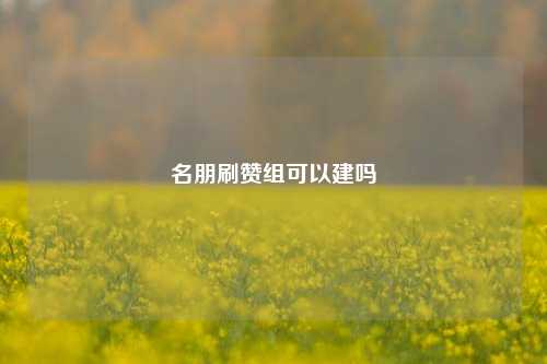 名朋刷赞组可以建吗