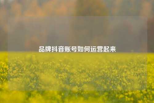 品牌抖音账号如何运营起来