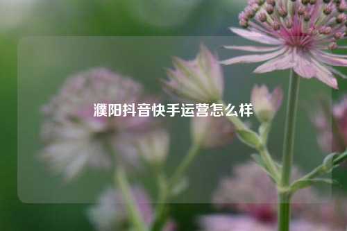 濮阳抖音快手运营怎么样