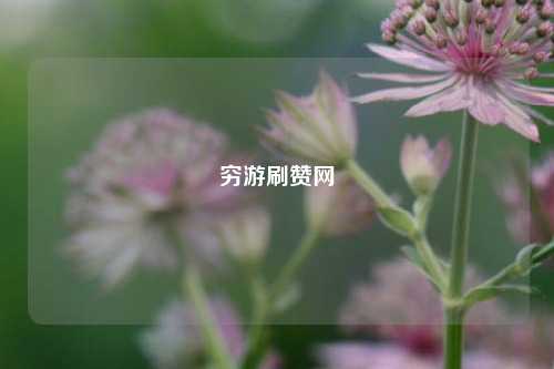 穷游刷赞网