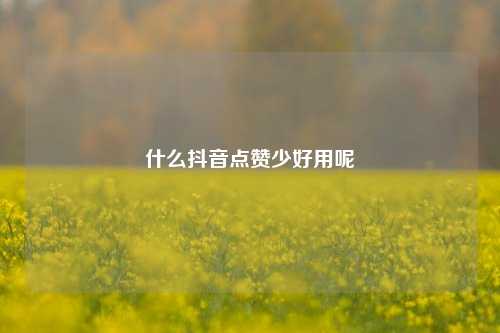 什么抖音点赞少好用呢